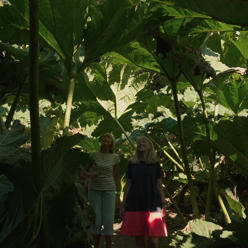 Trebah Gardens, gunnera walk with two ladies